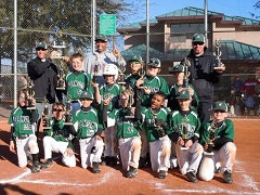 Vegas Venom 9U Baseball Team