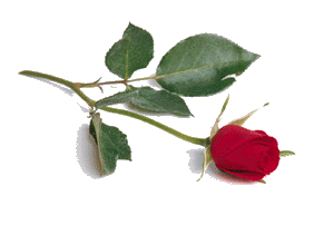 A Rose Is Still a Rose if you call it by another name, but appropriate names matter to people